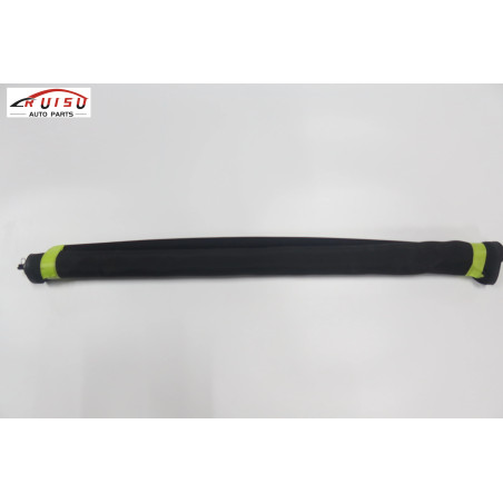 Lincoln MKZ Sunroof Sunshade Curtain Assembly (DP5Z-54519A02-AB)